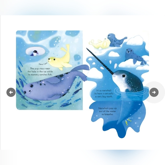 🌸 3/$25 🌸 Peek Inside Snowy Places - Picture 3 of 5